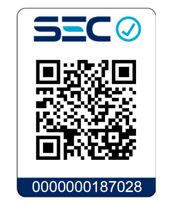 Campana Inox 60 Series CXW-62760